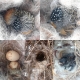 Bird nest filler