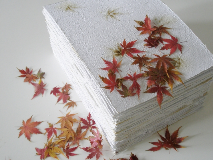 Paper with Maple Leaves