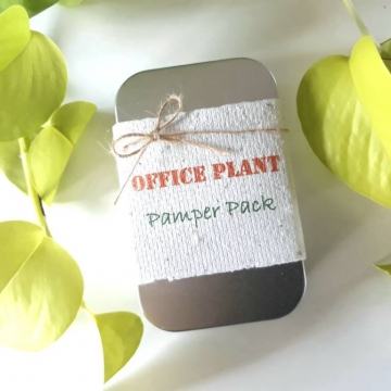Office Plant Gift, Novelty, Pamper Pack, Indoor Plants, Fertilizer, Organic Care, Workplace kit, Office Humor, Colleague, Secret Santa, Eco