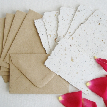 6 Rose Petal Mini Gift Cards with Envelopes