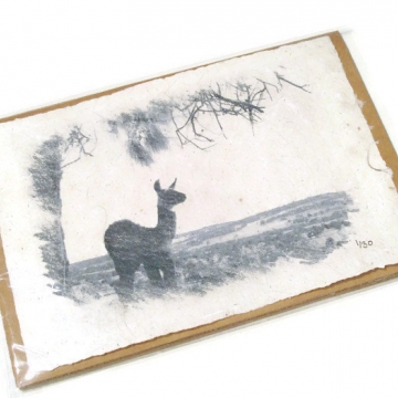 Print, Llama Fibre Paper Limited Edition of 30. Hand-made Recycled Paper with Llama Fibre