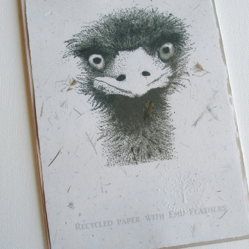 Emu Print, Paper with Emu Feathers
