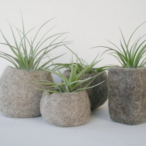 Llama Fibre Vessels