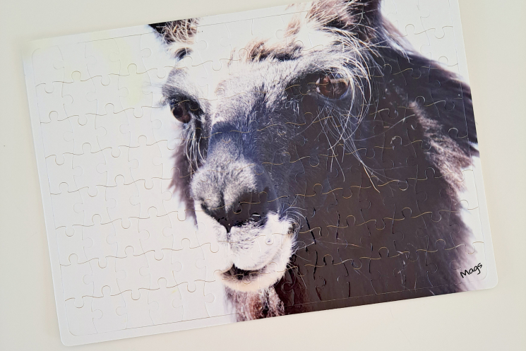 Llama puzzle