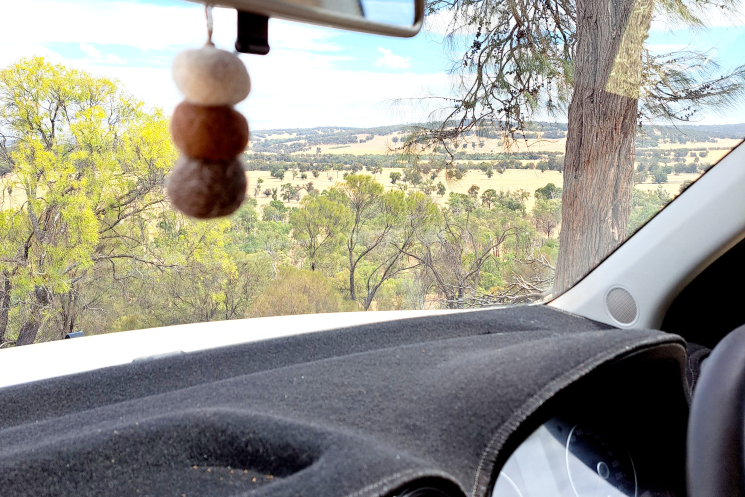 Felt Mirror Dangle for Car