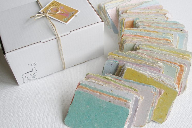 homemade blank mini cards
