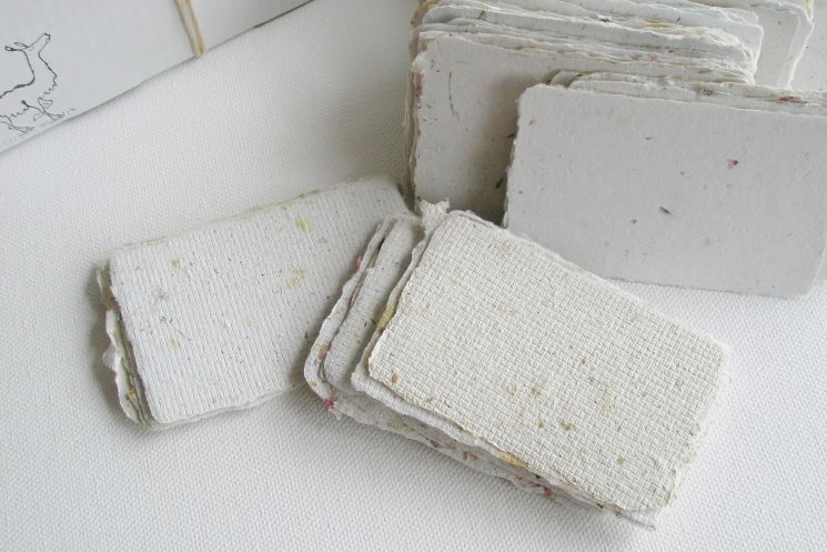 deckle edge place cards