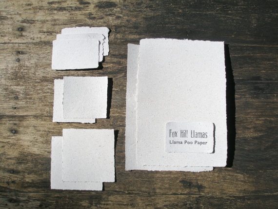 Llama Poo paper