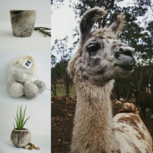 Champagne img_20160726_232952.jpg