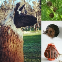 Geronimo Stilton img_20160727_101925.jpg