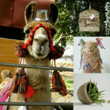 Present img_20160729_121547.jpg