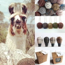 Wholesale nester img_20180730_181329.jpg