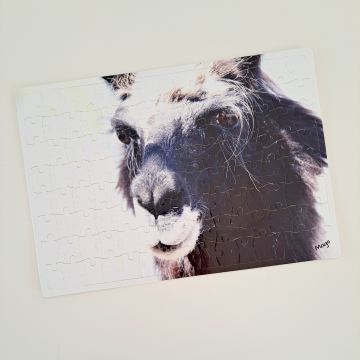 A3  300 Piece Jigsaw Puzzle - Shadow