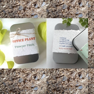 6 x Office Plant Pamper Packs, Wholesale, Indoor Plants, Terrarium, Organic, Florists, Plant Gifts, Novelty, Eco Friendly Store, Care Kit
