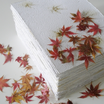 Paper with Maple Leaves