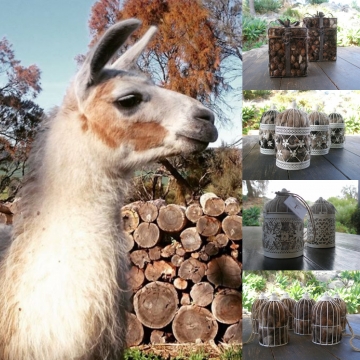 Nesters for big back yards