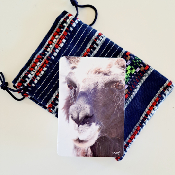 Playing Cards - Llama Shadow