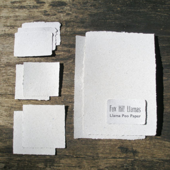 Llama Poo paper