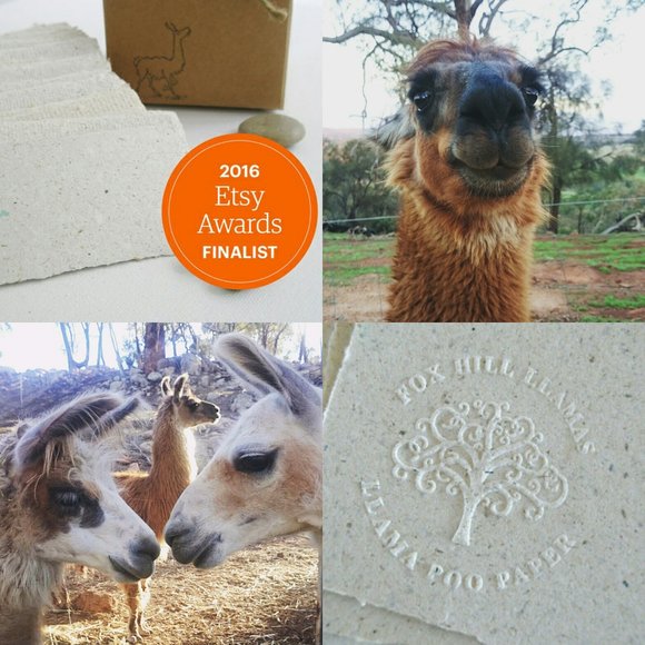 Llama Poo Paper