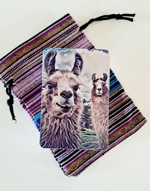 Llamas playing cards