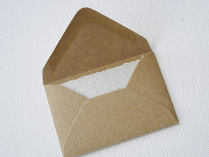 Llama Poo Card Set with Brown Envelopes, 4 Mini Handmade Recycled Llama Poo Paper Cards, hand stamped envelopes