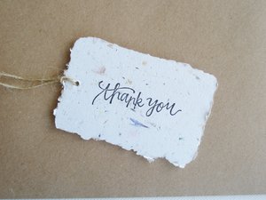 100 THANK YOU Tags - Neutral Tones