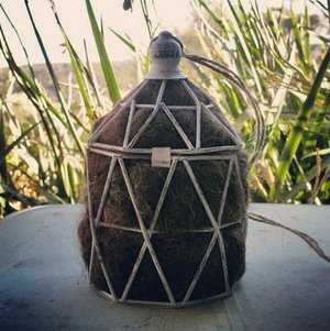 Geometric Bird Nester with Llama Fibre. Nesting Material to Attract Native Birds to your Garden. Eco Friendly Gift for nature lover