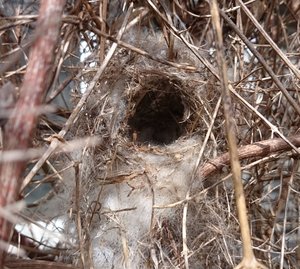 Garden Decoration, Eco Nester, Llama Nesting Material, Nest Filler,Bird Nester, Nest builder, Mother's Day Gift, Nature Play, Nursery Gift