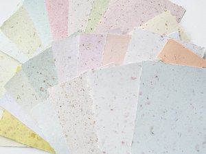 10 sheets 4 x 6"  handmade recycled mixed colour Paper, Botanicals, Flowers, Petals, Assemblage. For poets, calligraphy, letter writing