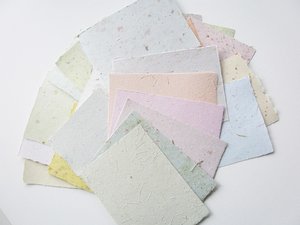 10 sheets 4 x 6"  handmade recycled mixed colour Paper, Botanicals, Flowers, Petals, Assemblage. For poets, calligraphy, letter writing