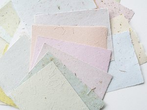10 sheets 4 x 6"  handmade recycled mixed colour Paper, Botanicals, Flowers, Petals, Assemblage. For poets, calligraphy, letter writing