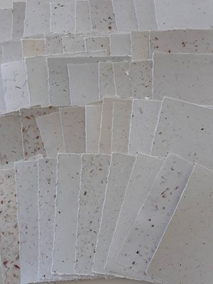 5x7" Sheets, 30 Sheets, Neutral Recycled Paper, Handmade Paper, Botanicals, Flowers, Typewriter Paper, Poetry Paper, Calligraphy Paper,