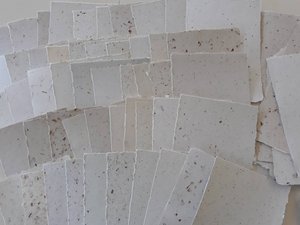 5x7" Sheets, 30 Sheets, Neutral Recycled Paper, Handmade Paper, Botanicals, Flowers, Typewriter Paper, Poetry Paper, Calligraphy Paper,