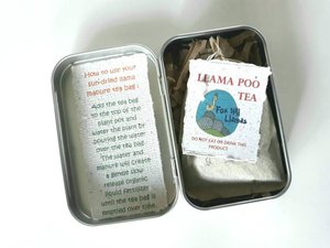Office Gift, Office Plant Gift, Novelty, Pamper Pack, Indoor Plants, Fertilizer, Organic Care, Office Humor, Colleague, Plant Lover Gift