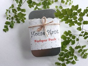 6 x House Plant Pamper Gift Pack, Indoor Plants, Organic Fertilizer, Manure Tea bag, Indoor plant lover, Planter, Florist Supplies, Bulk lot