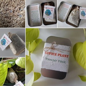 Office Gift, Office Plant Gift, Novelty, Pamper Pack, Indoor Plants, Fertilizer, Organic Care, Office Humor, Colleague, Plant Lover Gift