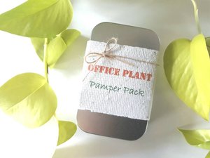 Office Gift, Office Plant Gift, Novelty, Pamper Pack, Indoor Plants, Fertilizer, Organic Care, Office Humor, Colleague, Plant Lover Gift