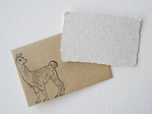 Card and envelope, Llama Poo Paper card, Handmade card, Recycled card, Gift Card, mini card, florist card, card with envelope, small card