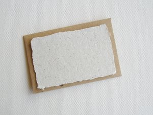Card and envelope, Llama Poo Paper card, Handmade card, Recycled card, Gift Card, mini card, florist card, card with envelope, small card
