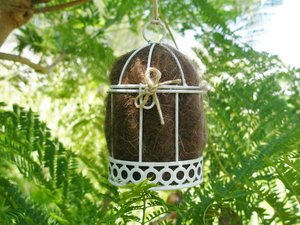 Small Bird Nester in Gift Box. Llama nesting material for wild birds, bird houses, nest boxes. Birdbath accessory for eco, nature gardens