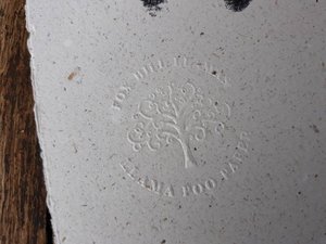 Baby Llama Footprint on Poo Paper