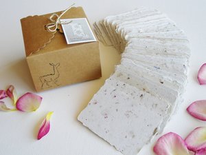 SAMPLE of 20 Handmade 2x3 Cards. Neutral Blank Recycled Paper. Calling. Place  or table card. Gift Card. Florist. Wedding Guest Attendance