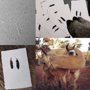 Baby Llama Footprint on Poo Paper