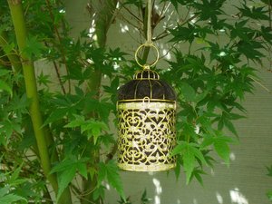 Gold Bird Nester for home isolation backyard gift with Llama Fibre Nest Building Material