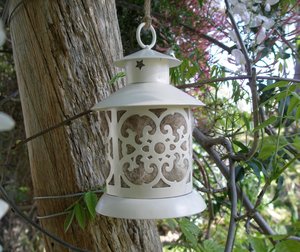 Bird Nester for home isolation Gift, Llama Fibre Nest Building Material