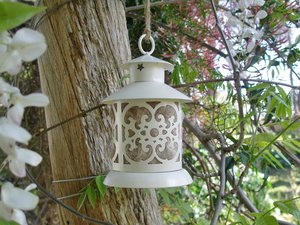 Bird Nester for home isolation Gift, Llama Fibre Nest Building Material
