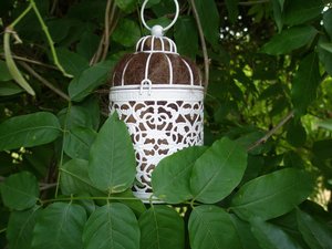 Bird Nester for home backyard or baclony gift, Llama Fibre Nest Building Material