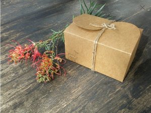 Box of 6 Bird Nesters, Llama Fibre. Bright Coloured baubles with nesting material for the birds in gift box. Eco friendly Decoration, Garden