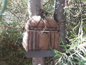 Narrow Bird Nester for Wall, Bird Nesting Llama Fibre, Gift for Garden, Housewarming present, Backyard Gift Idea, Eco Gift for home gardener