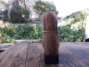 Narrow Bird Nester for Wall, Bird Nesting Llama Fibre, Gift for Garden, Housewarming present, Backyard Gift Idea, Eco Gift for home gardener